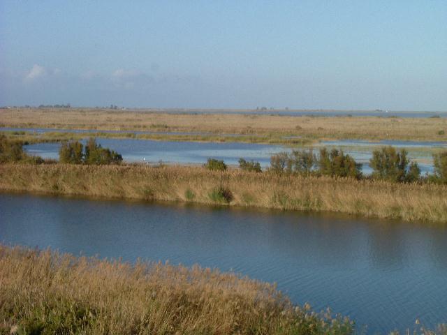 ebro delta
